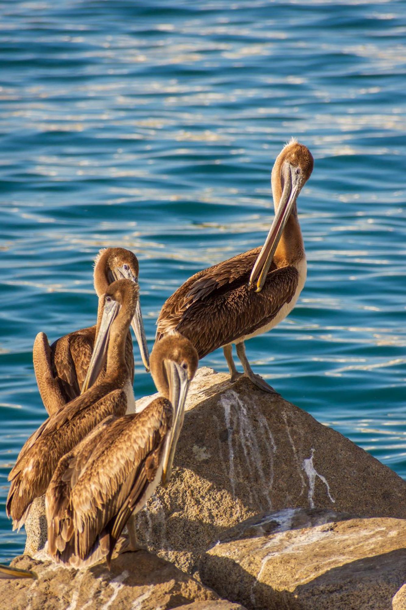 Morro Bay Beach Inn Kültér fotó